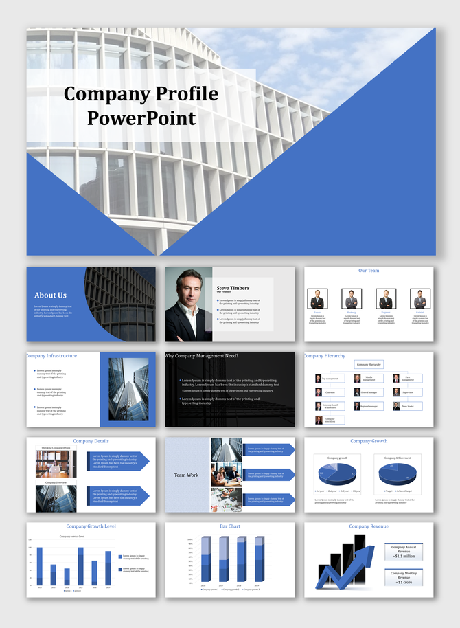 Corporate slide deck with a clean blue and white theme, featuring company profile details, charts, and team visuals.