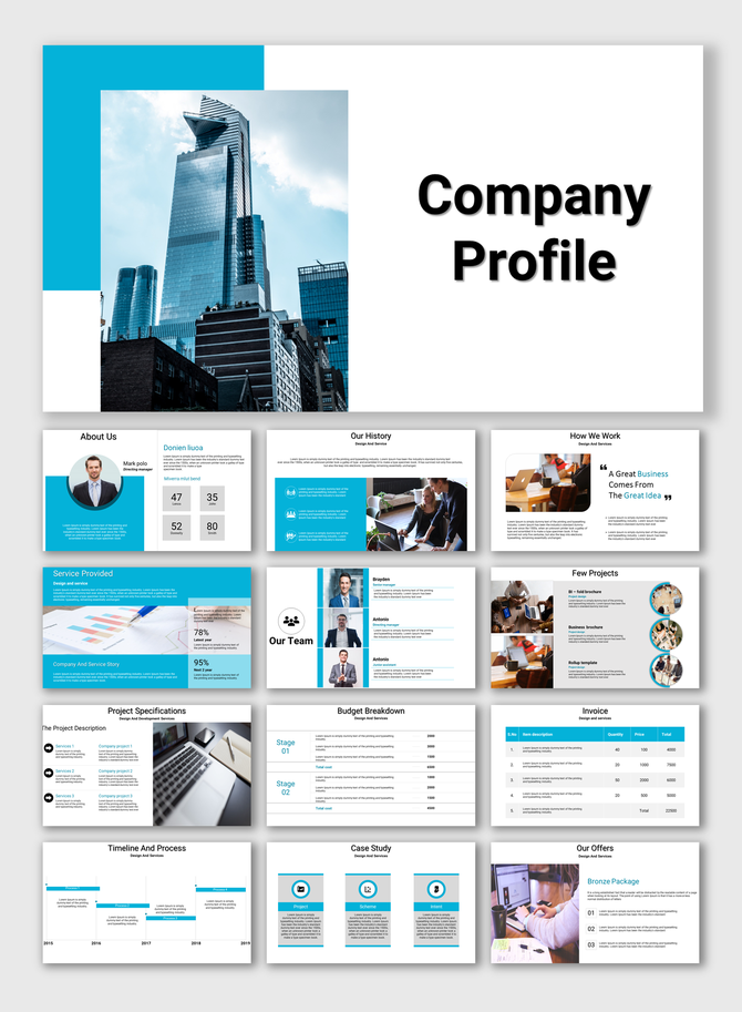 Professional company profile PowerPoint slides on team, services, history, projects, and budget breakdown.