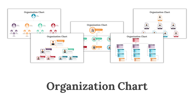 Collection of five colorful organizational chart templates with different layout designs and positions in a white backdrop.