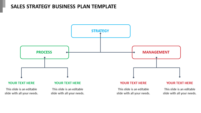Sales strategy diagram showing strategy at the top, linked to process and management, each with two text placeholders.