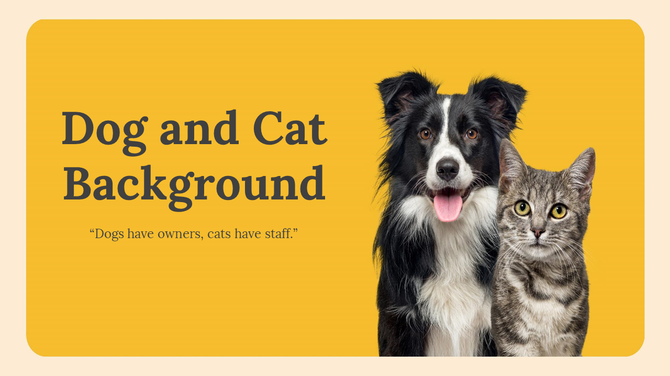 Yellow slide with bold title, a quote about dogs and cats, and images of a happy dog and alert tabby cat.