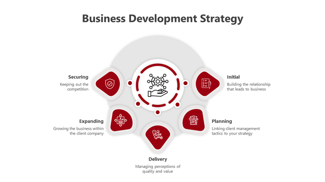 Business strategy framework featuring five red segments with icons and labels for different development stages.