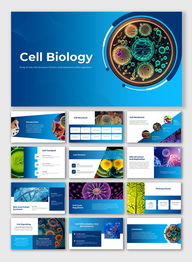 Cell biology slides showing biological processes through high resolution microscopic imagery and structured blue layouts.