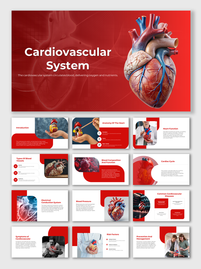 Alt: Cardiovascular System presentation slide deck featuring a highly detailed 3D anatomical heart illustration on a rich red background.