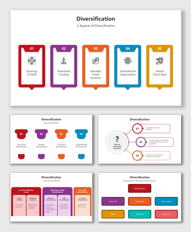 Colorful diversification infographic showing five aspects: staff, funding, credit portfolio, global clients, and more.