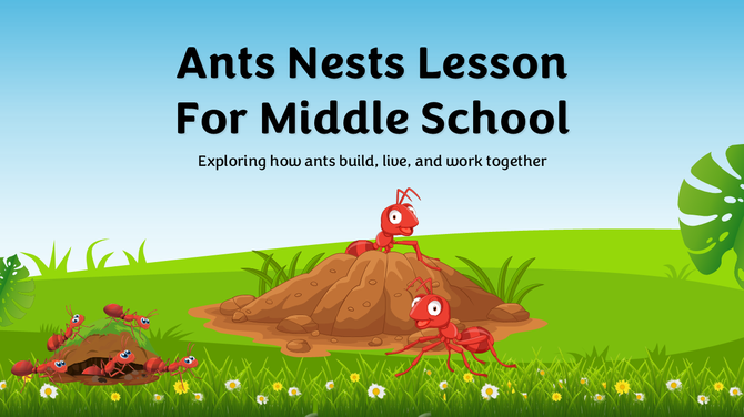 Ants Nests Lesson for Middle School PowerPoint Presentation