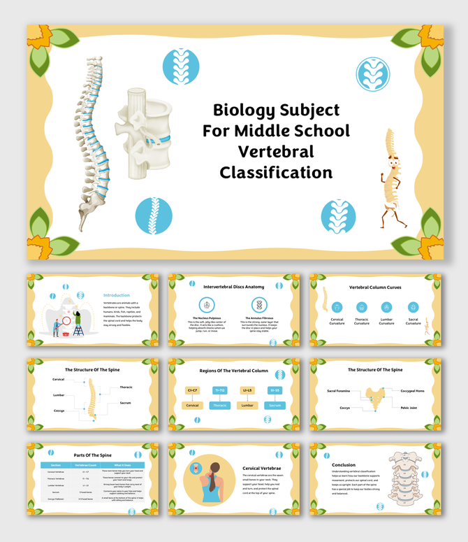 Explains vertebral regions, spine curves, disc anatomy, labeled parts, and spinal structure for student learning.