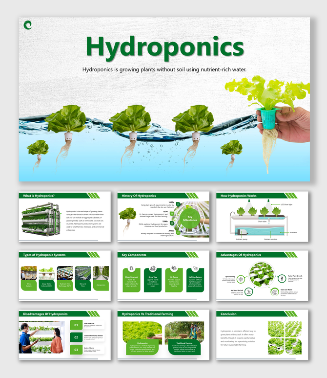 Hydroponics grows plants without soil using water, nutrients, space-saving systems, and faster yield methods.