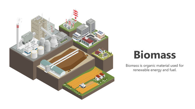Biomass PowerPoint Presentation And Google Slides