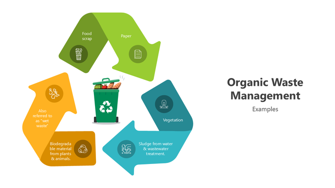 Organic Waste Management PowerPoint And Google Slides
