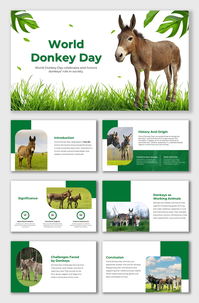 World Donkey Day slides with donkey images, green layout, and facts on their roles, care, and significance.