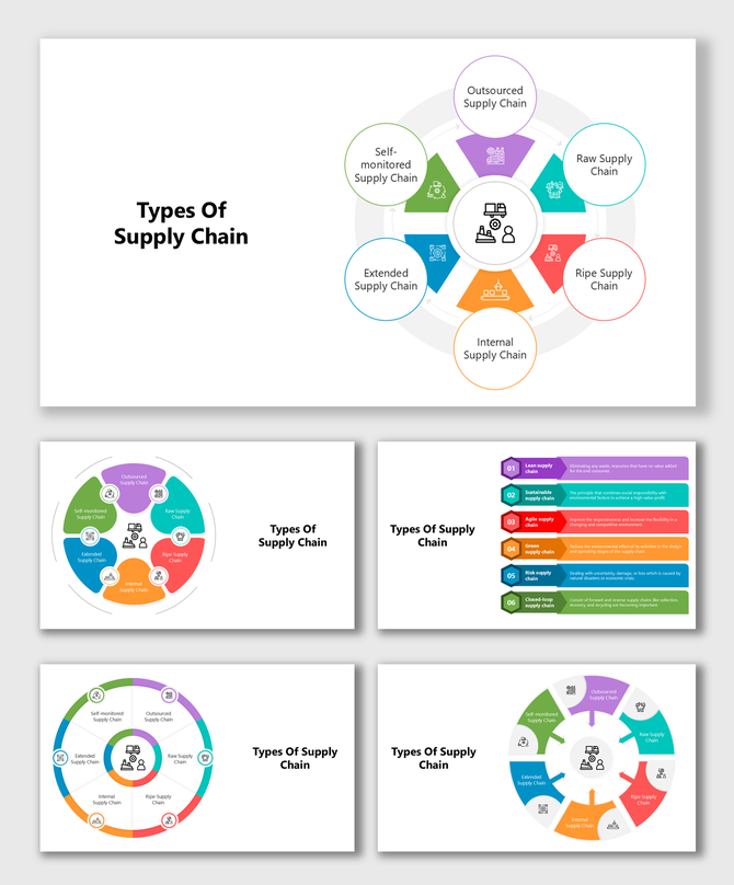 Raw, ripe, internal, extended, outsourced, and self-monitored supply chains are core types in modern logistics.