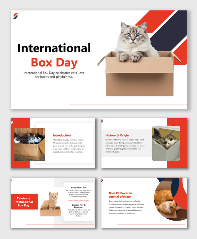 International Box Day slides with cats in boxes, red-blue theme, fun facts, shelter tips, and playful image layouts.