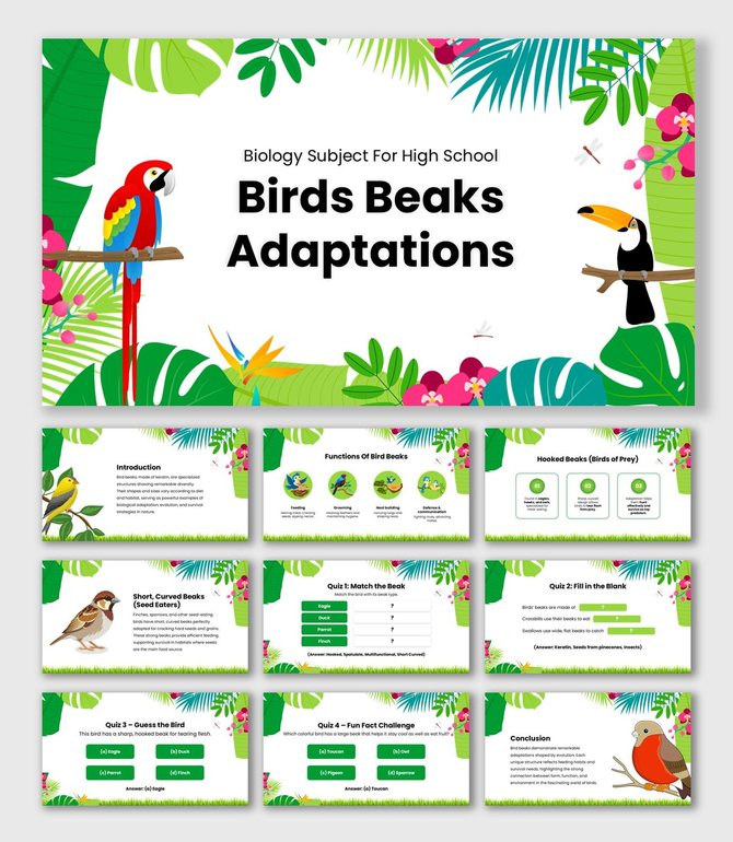 Biology Subject For High School Deforestation Consequences slides showing causes, effects, and solutions.