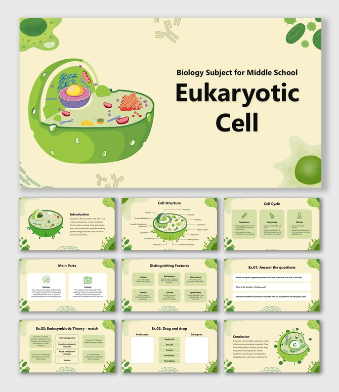 Biology Subject for Middle School Eukaryotic Cell slides with labeled organelles, structure, and cycle.