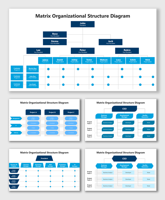 Matrix Organizational Structure Example with CEO, VPs, team roles, project flow, and cross-functional layout.