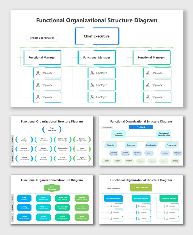 Functional Organizational Structure Diagram showing CEO-led colorful hierarchy of teams and departments.