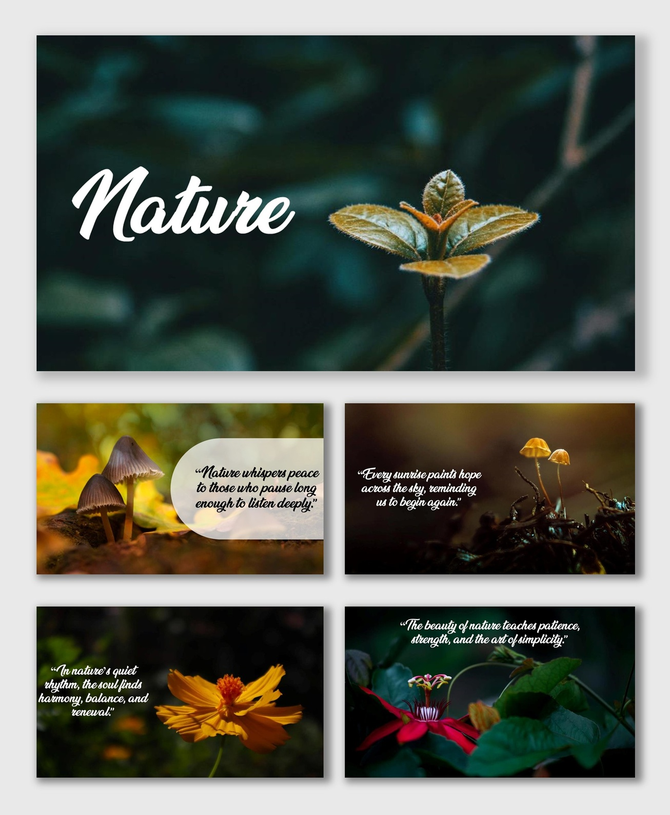 Natural Background with leaves, sprouts, flowers, mushrooms, and soft earthy tones creating calm natural visuals.