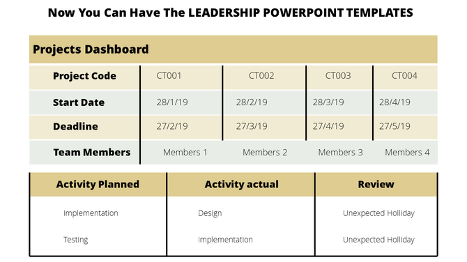 Executive dashboard slide displaying project details including start date, deadline, team members, and activities.