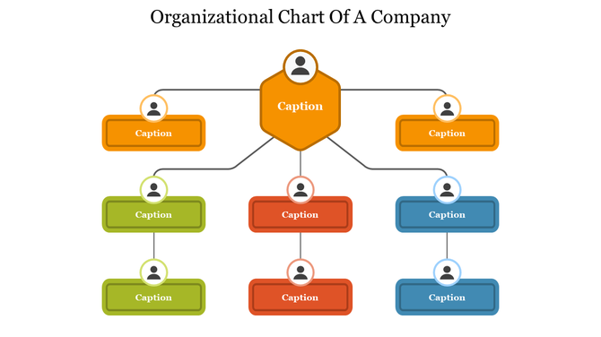 Organizational chart with a central orange node branching to green, blue, and red captions.