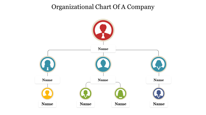 Hierarchical organizational chart with colorful circular icons representing roles and connected by lines.