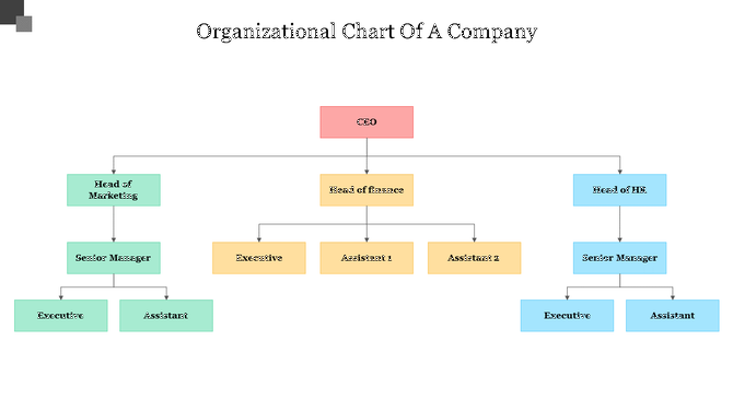 Company organizational chart with CEO overseeing departments like Marketing, Finance, and HR, with their respective roles.