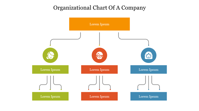 Organizational chart with orange, green, red, and blue sections representing hierarchical company positions connected by lines.