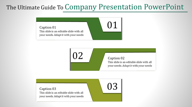 Company presentation slide with three green sections, each featuring captions and numbers.