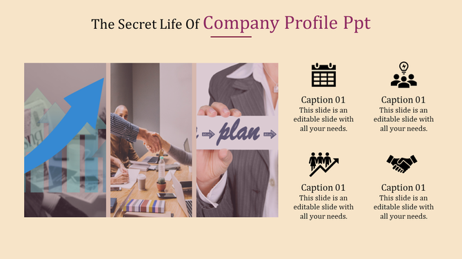 Company profile slide showing an arrow chart, a handshake, and a person holding a plan document with icons.