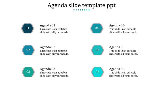 Slide with six teal hexagonal shapes arranged in two columns, each paired with agenda text on a white background.