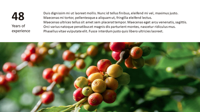 Farm Experience slide with a photo of coffee beans on a branch, with text about 48 years of experience.