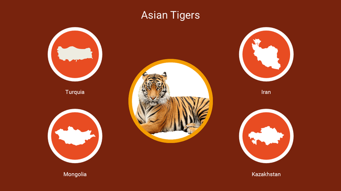Visual representation of Asian Tigers with a central tiger image and surrounding maps of four countries.