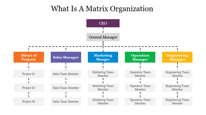 Hierarchy chart depicting a matrix organization with multiple managers overseeing different project teams.