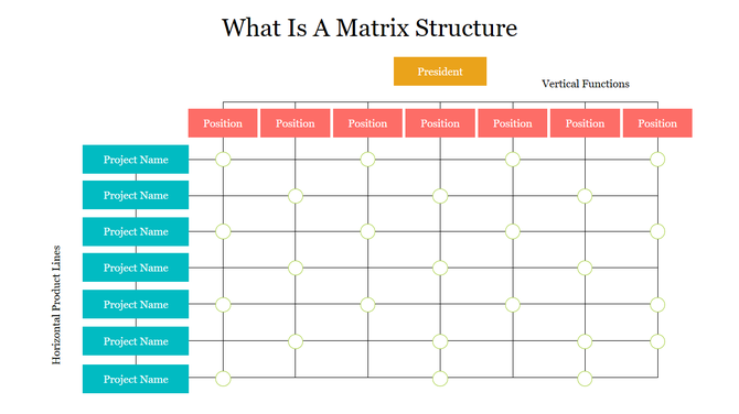 Matrix structure diagram with vertical positions and horizontal product lines intersecting under a president.