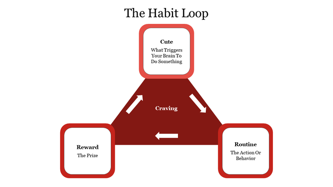 Triangle diagram with three labeled sections connected by arrows, representing stages of a habit loop.