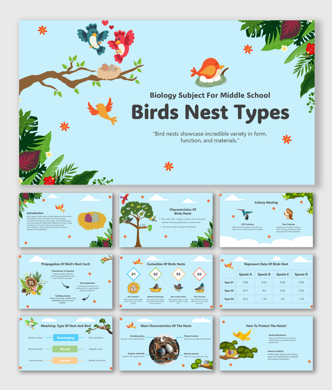 Biology Subject For Middle School Birds Nest Types: Covers nest types, characteristics, and protection tips.