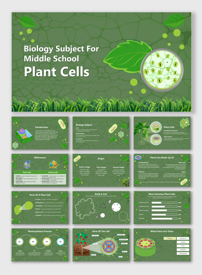 Biology Subject For Middle School Plant Cells: Green-themed slids explaining plant cell structure and functions.