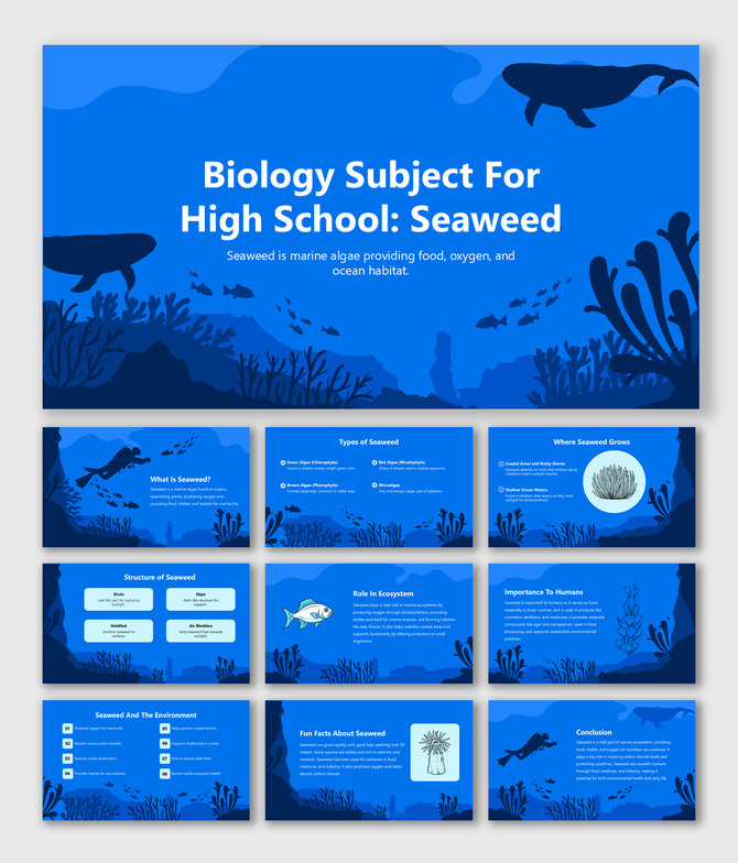 Biology Subject For High School Seaweed slide shows marine algae types, structure, roles, and ecosystem value.