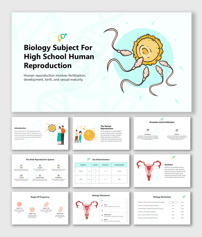 Biology Subject For High School Human Reproduction with sperm-egg diagram, organs, charts, and worksheets.