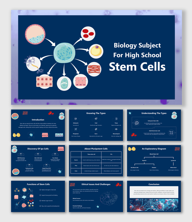 Biology Subject For High School Stem Cells slides with diagrams, types, uses, ethics, and blue scientific theme.