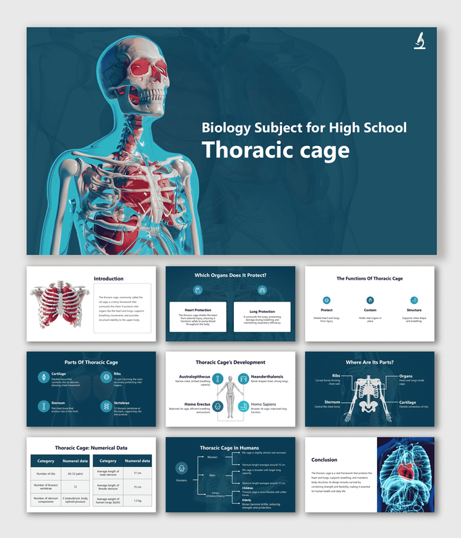 Biology Subject for High School Thoracic Cage slides showing ribs, lungs, and skeleton view.