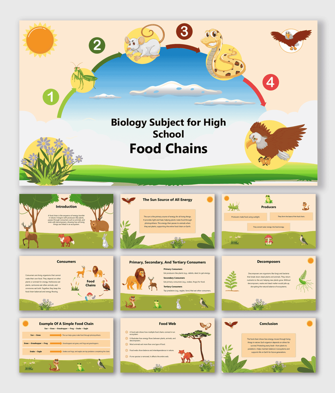 Biology Subject for High School Food Chains slides showing animal energy flow and ecosystem cycle.