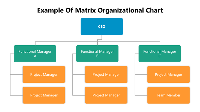 Example Of Matrix Organizational Chart PowerPoint