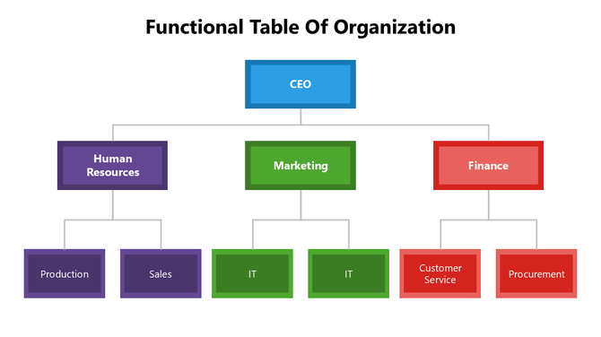 Functional Table Of Organization PPT And Google Slides