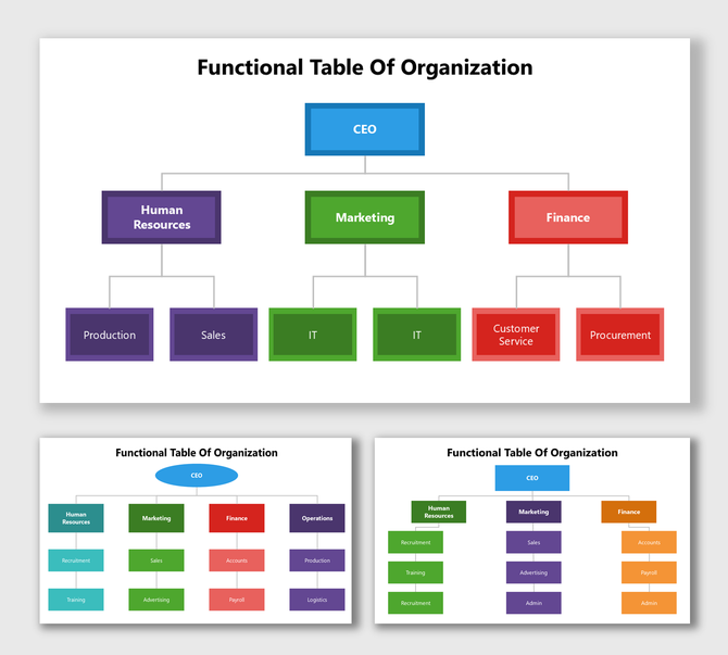 Functional Table Of Organization with colorful boxes showing CEO, HR, Marketing, and Finance roles.