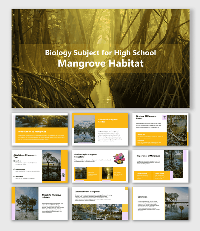 Biology Subject for High School Mangrove Habitat slides with yellow theme and mangrove forest images.