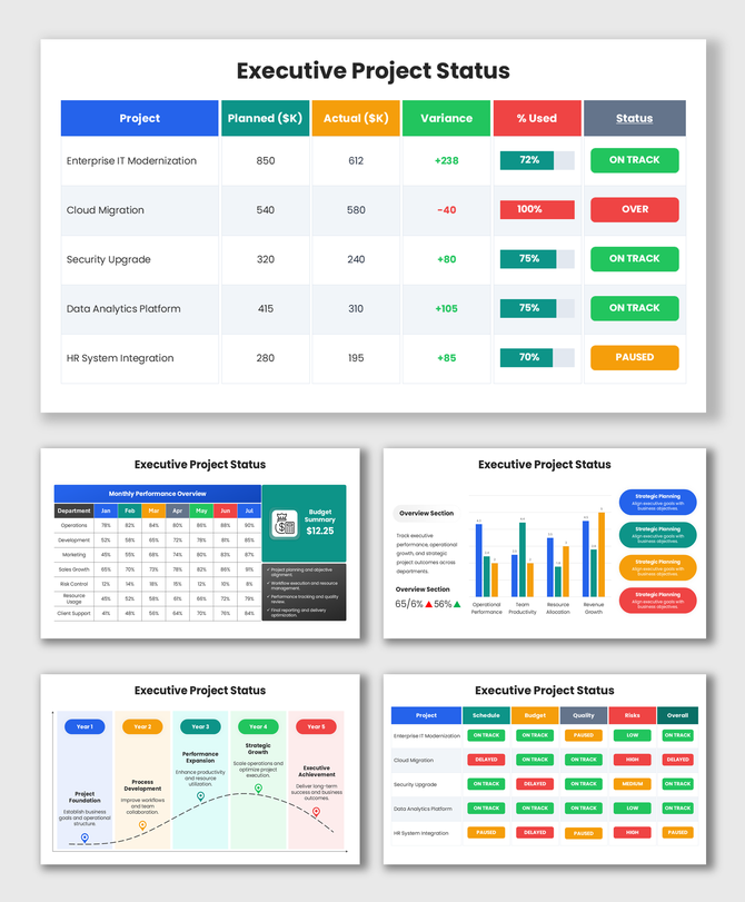Executive Project Status with colorful KPI tables, progress bars, budget metrics, and project tracking layouts.