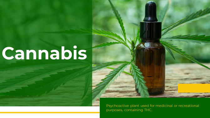 Cannabis leaves surrounding a dropper bottle, with a green and yellow text box describing psychoactive properties.