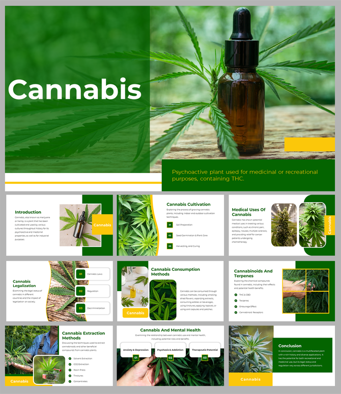 Cannabis slides featuring sections on cannabis legalization, extraction methods, and consumption methods on a green theme.