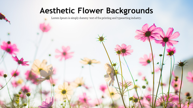 Aesthetic background of pink and white flowers with blurred details, creating a serene and natural atmosphere.